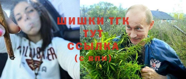 дурь Осинники