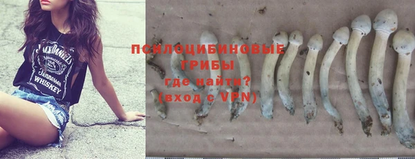 дурь Осинники