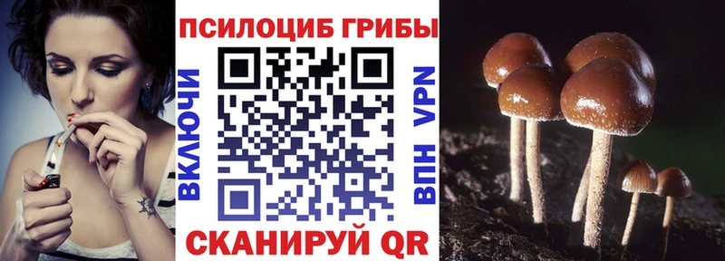 продажа наркотиков Аркадак Галлюциногенные грибы Magic Shrooms
